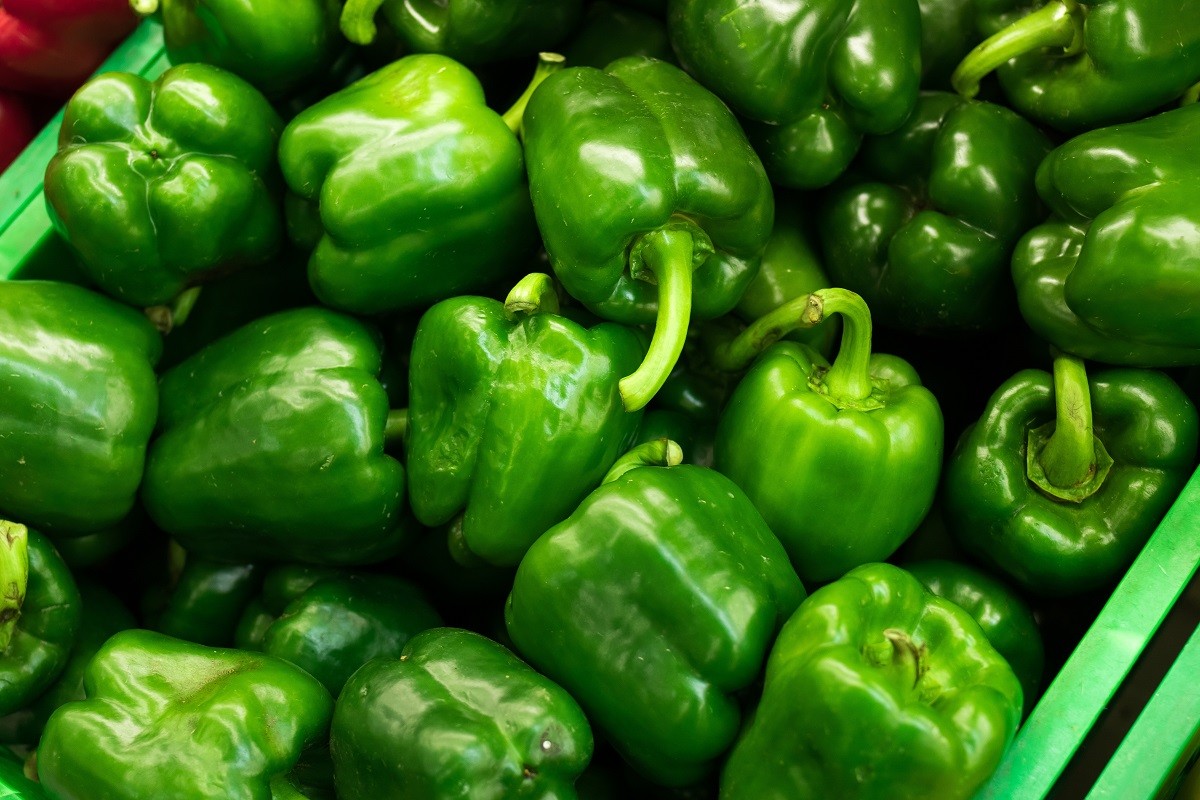 Fresh green organic sweet bell peppers on the farmer market on a tropical island Bali, Indonesia. Organic background.