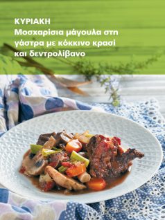 PIATO HMERAS 30-6-2019