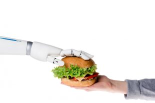 BURGER-ROBOT-MELLON
