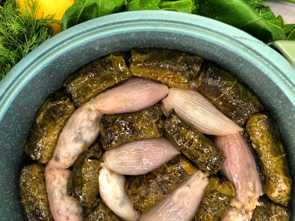 NTOLMADAKIA-GIALANTZI-ME-SALTSA-GIAOURTIOU