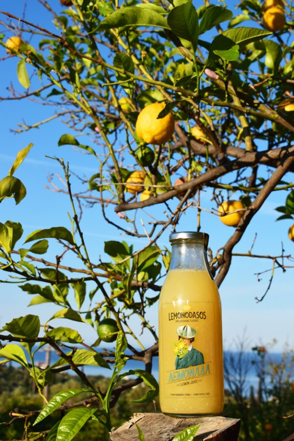 lemonodassos1
