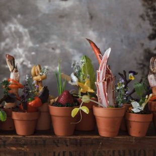 29571427_1653669684715973_6291877842944344049_n