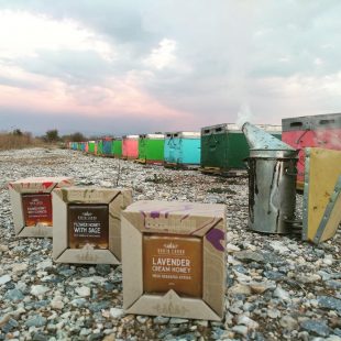 58430277_2181903048553338_162193761986674688_n