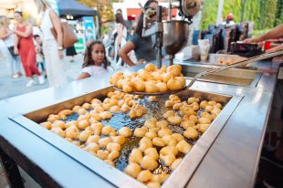 70493502_2329552780498327_3197123885061373952_n