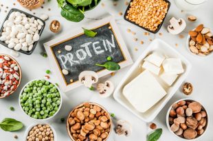 vegan–protein