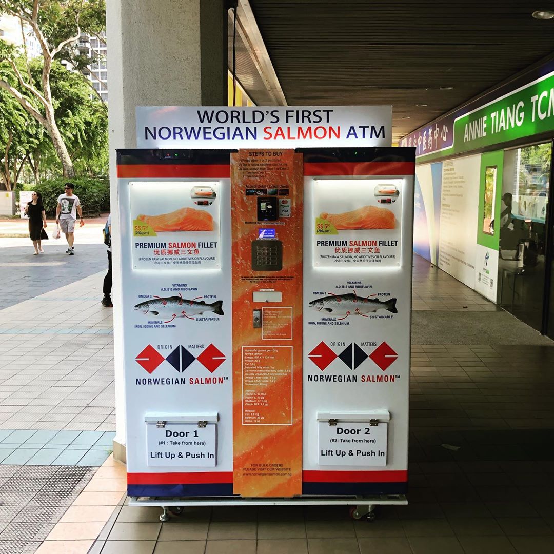 61693992_136146660900653_8614581043992276612_n