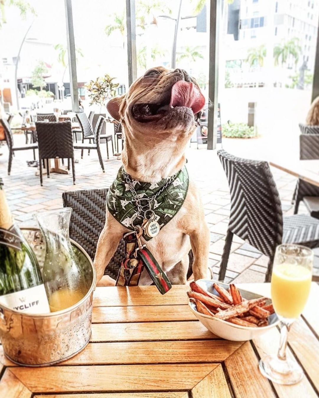 67137087_855754414809292_318997146794011326_n