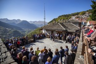 48962785467_fb0acf63d6_c