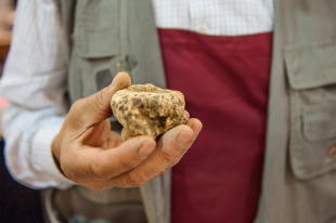 69298637_112206810145522_3903996702217994240_o