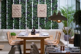 71342790_393341448014091_402278332139307008_n