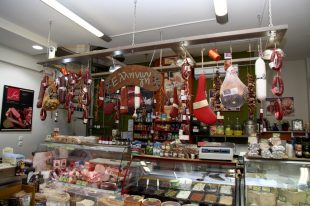 IMG_1552-1-1024×683