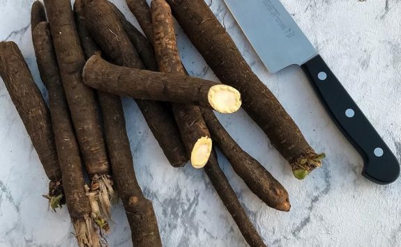 germanika_laxanika_anoigma_