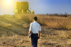 Greek Farms: Η διαδικτυακή πύλη για τα αγροτικά προϊόντα