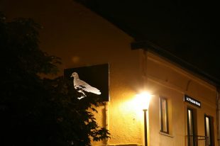 856389_471071539613356_1218556753_o