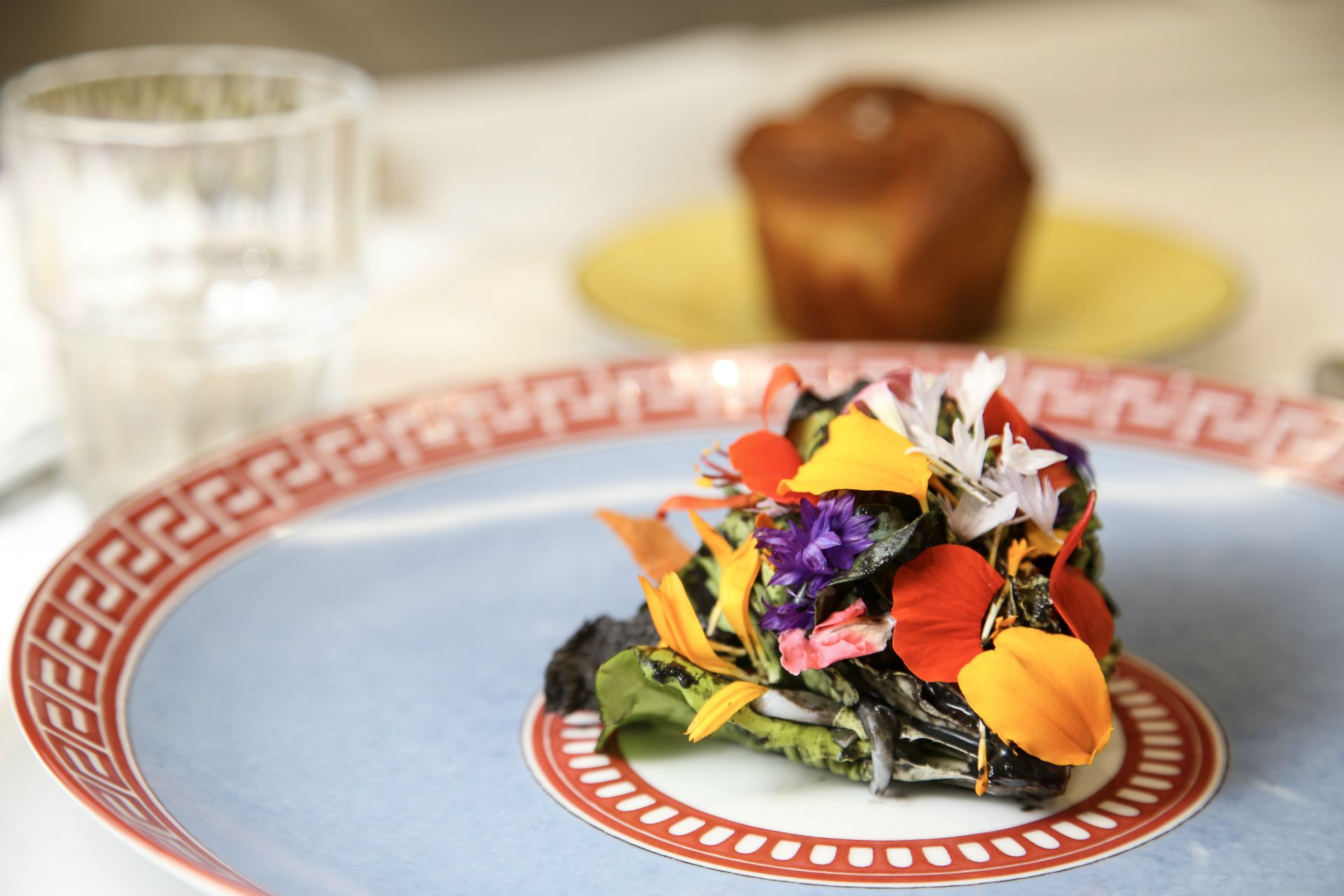 CELLOPHANE FLOWERS & KALEIDOSCOPE EYES – credit Diego Camola