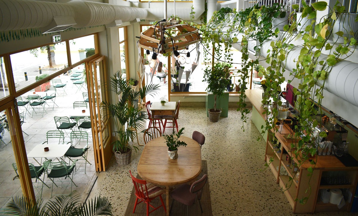 mimosa-credits–Eleftheria-Vasiliadi