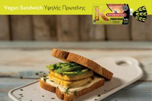 Karamolegos_Protein_Recipe_4