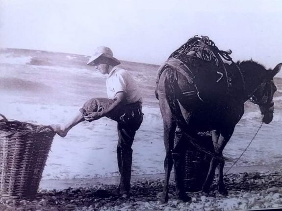 118976978_731389187422771_9188126605879212540_n