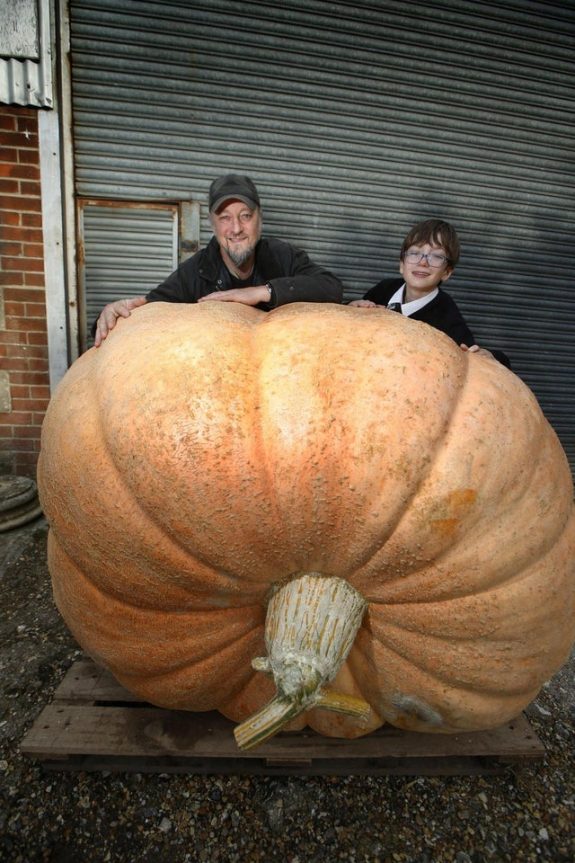 pump-kin-massiv-579805