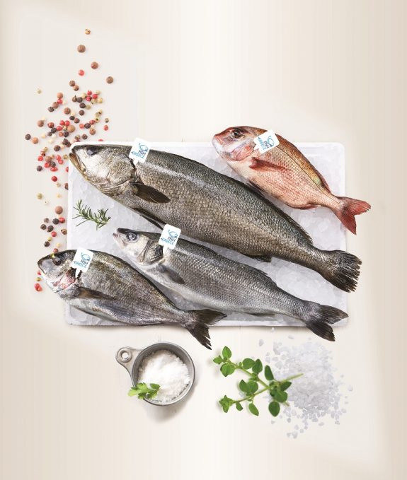 SNA_Wall_Outside_3mX4,25m_FD