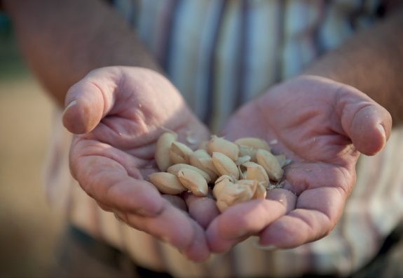 OLIVE_029_032_-7