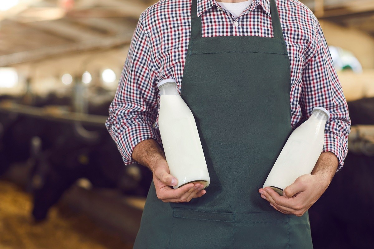 Farmer showing bottles of fresh natural cow milk and yoghurt manufactured on his farm
