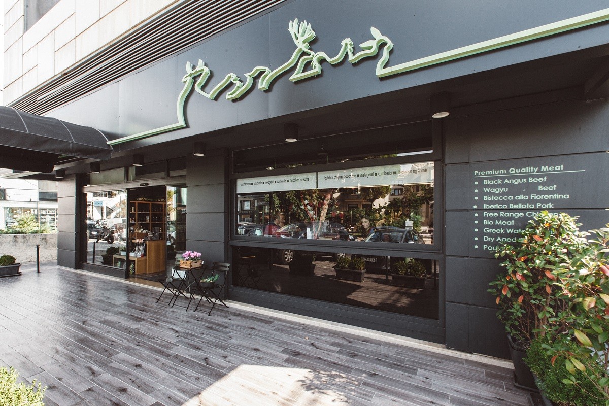 carnicero anoigma new