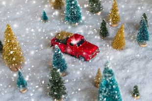 Creative Christmas decoration with red truck and colorful snowy spruces in the snow. Winter forest. Aerial, top view. Flat lay