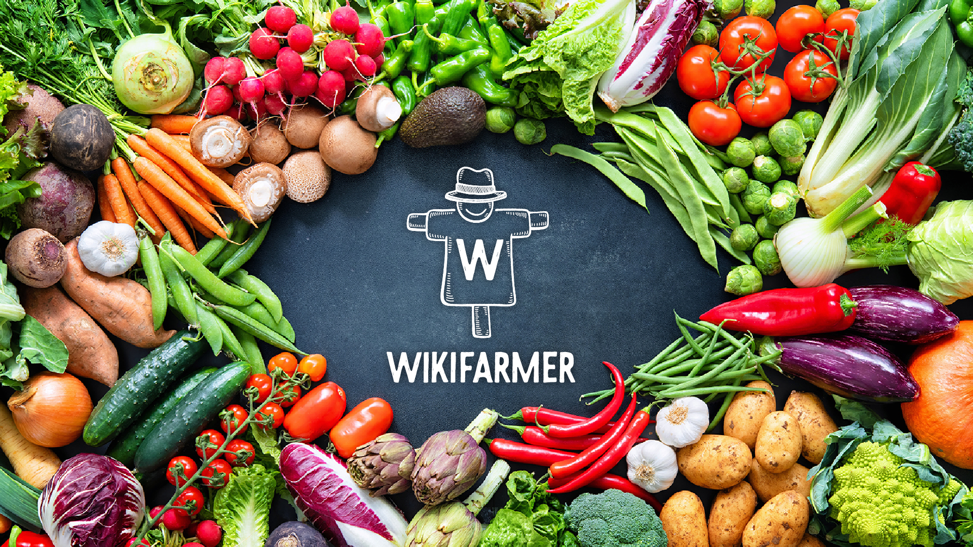 wikifarmer 3