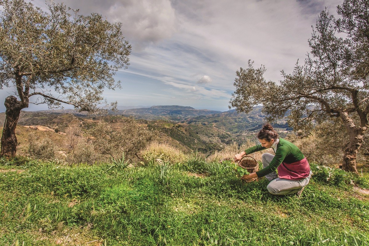 agria tou bounou mikri