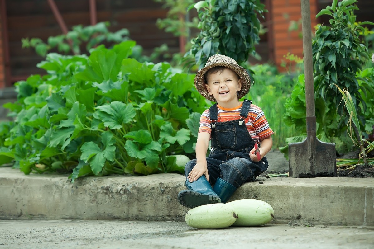18649098 – portrait of a boy working in the garden in holiday