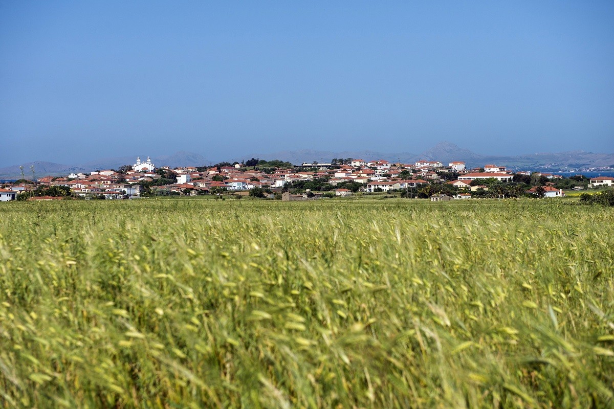 Salamousa Ospria13 MIKRI