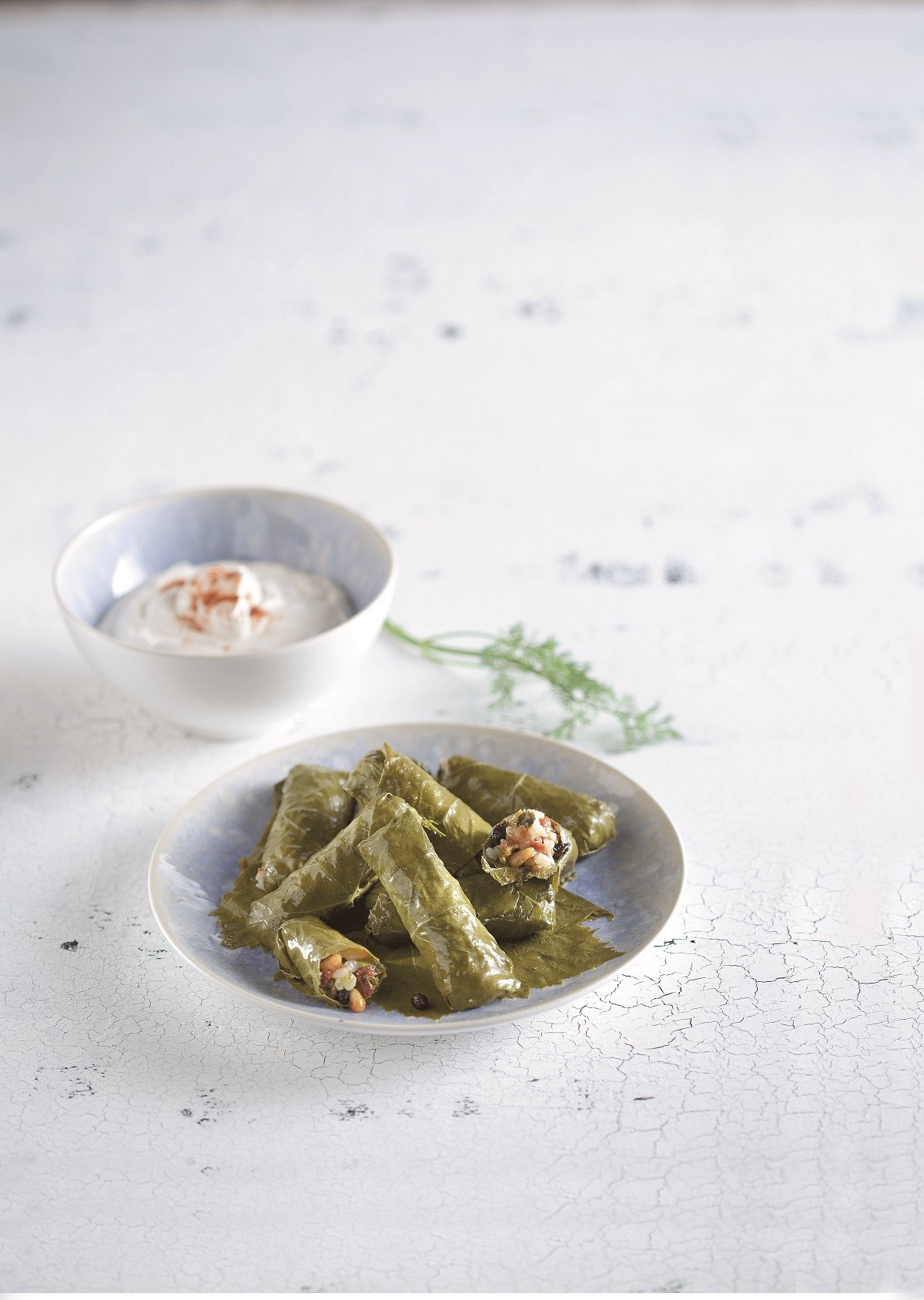 ampelofylla_ntolmades gialatzi mikri