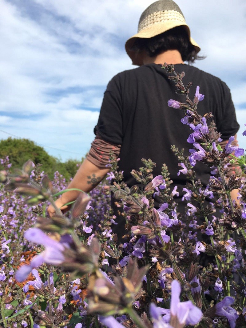 olympus fields katerina