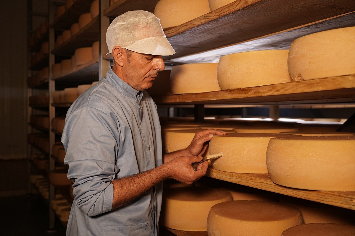 vlachian mountains1 mikri