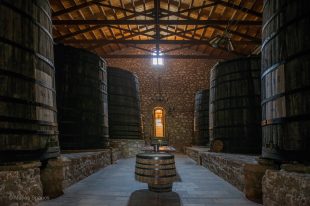 MOYΣΕΙΟ ΟΙΝΟΥ ΕΟΣ ΣΑΜΟΥ 2021