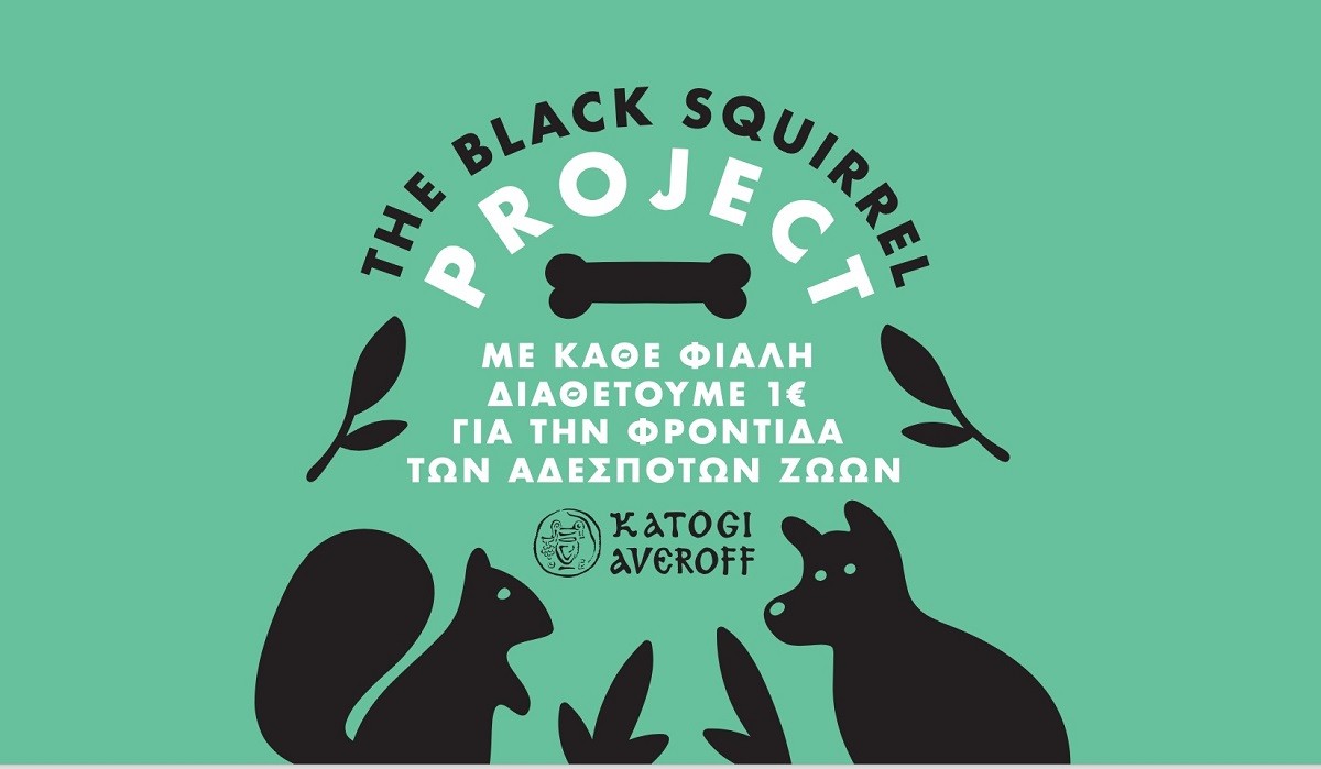 The Black Squirrel Project mikri