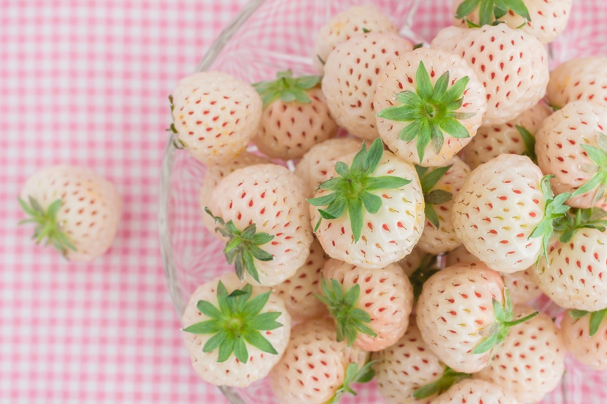 Pineberries