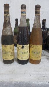 Οι σπάνιοι θησαυροί της κάβας του Τατοΐου αναδεικνύονται