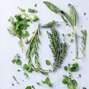 Assortment of fresh herbs