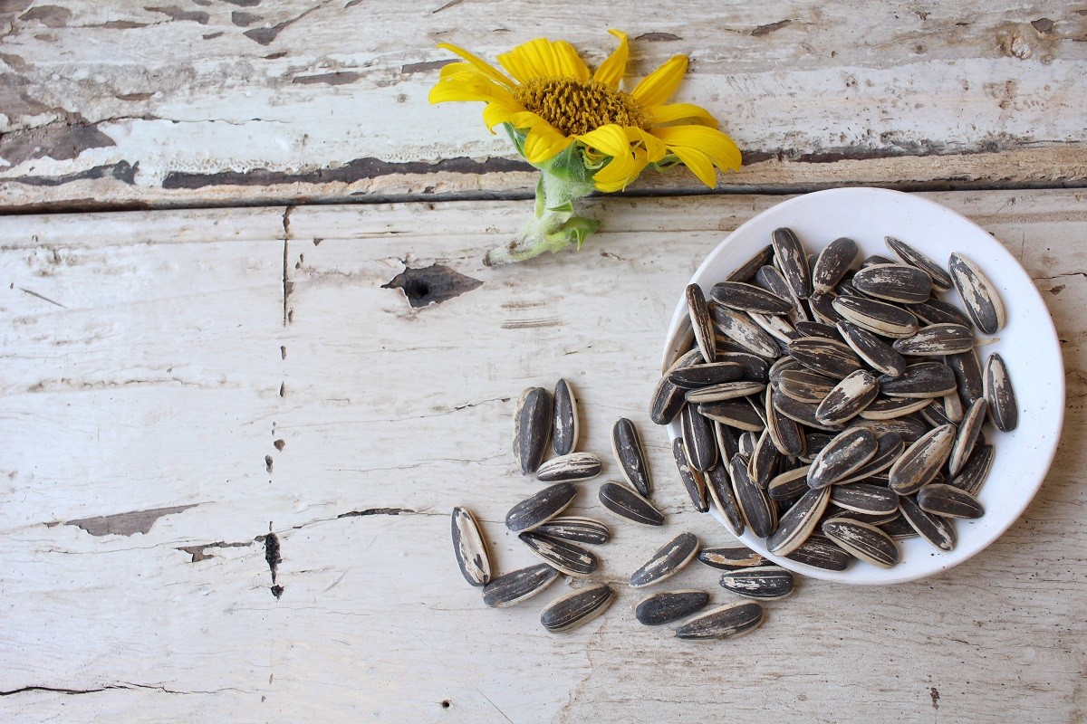 Sunflower seeds