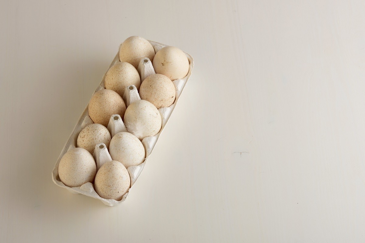 Ten turkey eggs with white paper box.