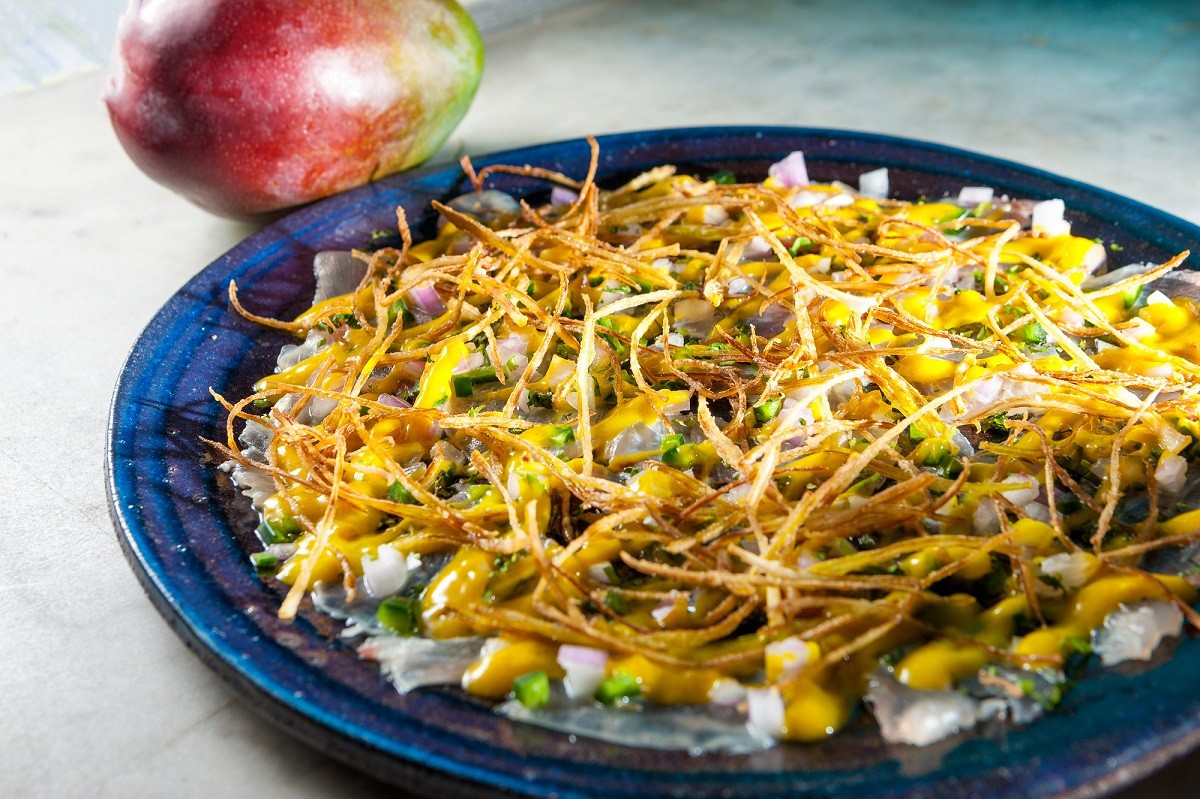 malandrenis petaxtari1