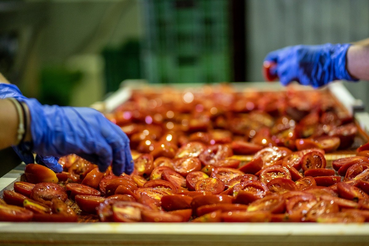 paragogoi idiotropa anoigma