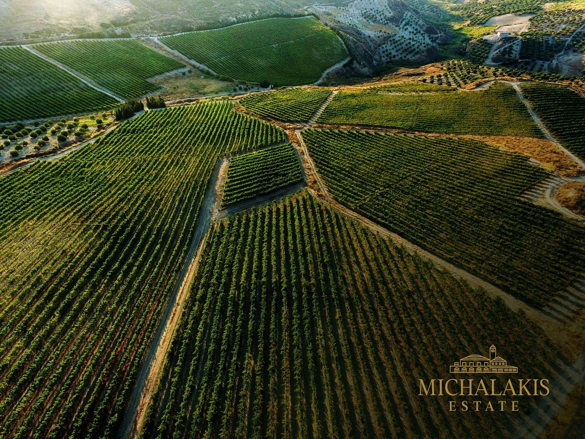 ktima mixalaki-ampelwnes