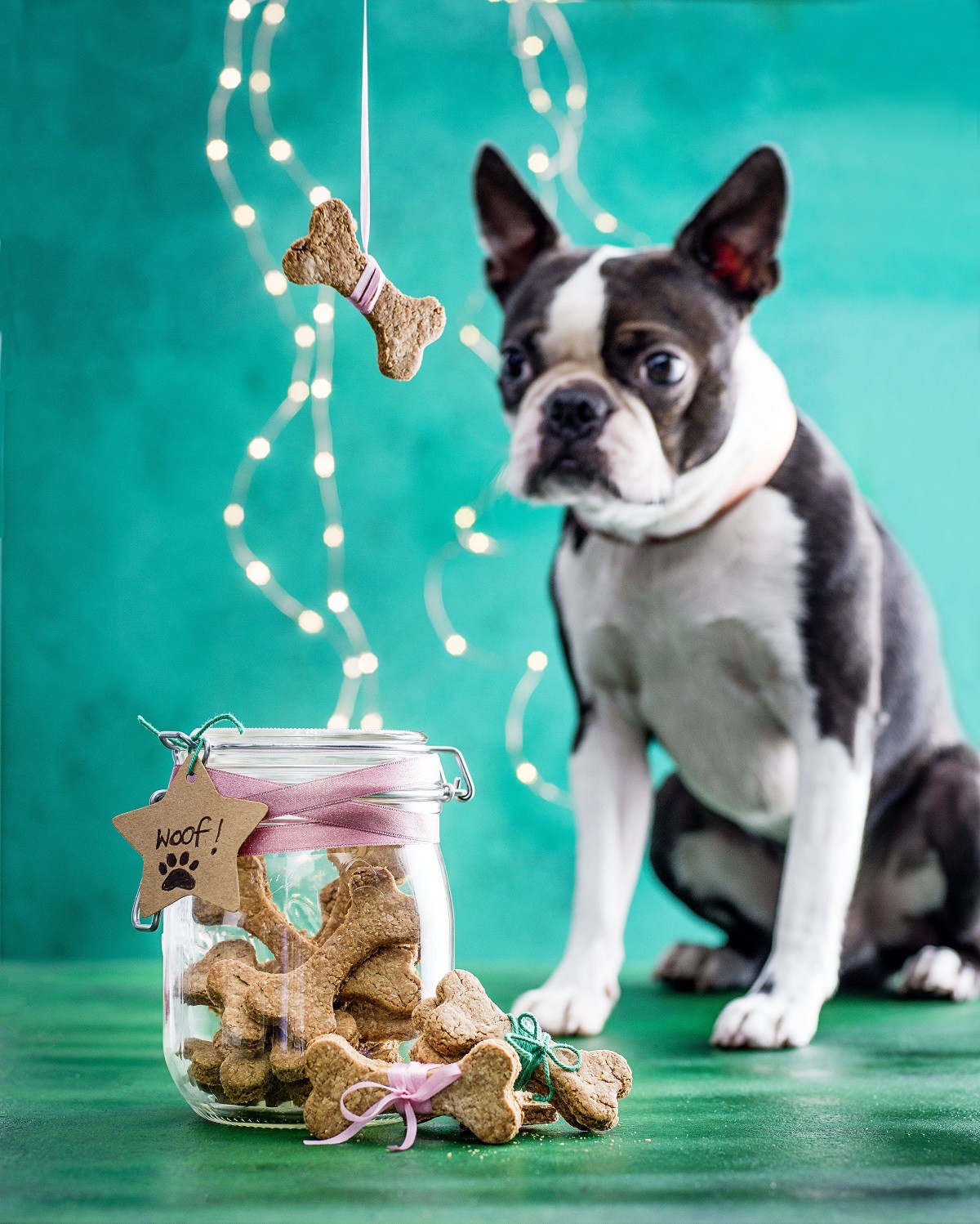 Easy homemade dog treats