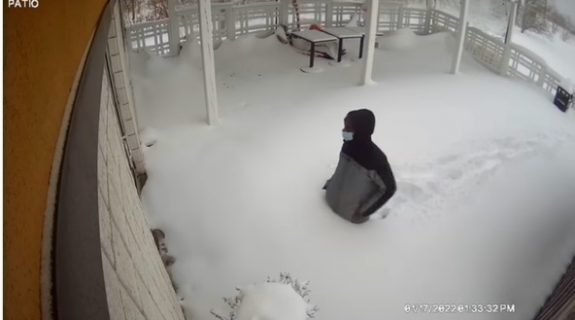 viral_paraxeno_xioni