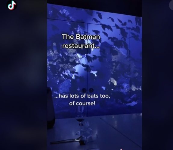 Different types of Italian pasta