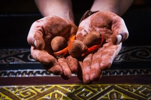 chocolate truffles small