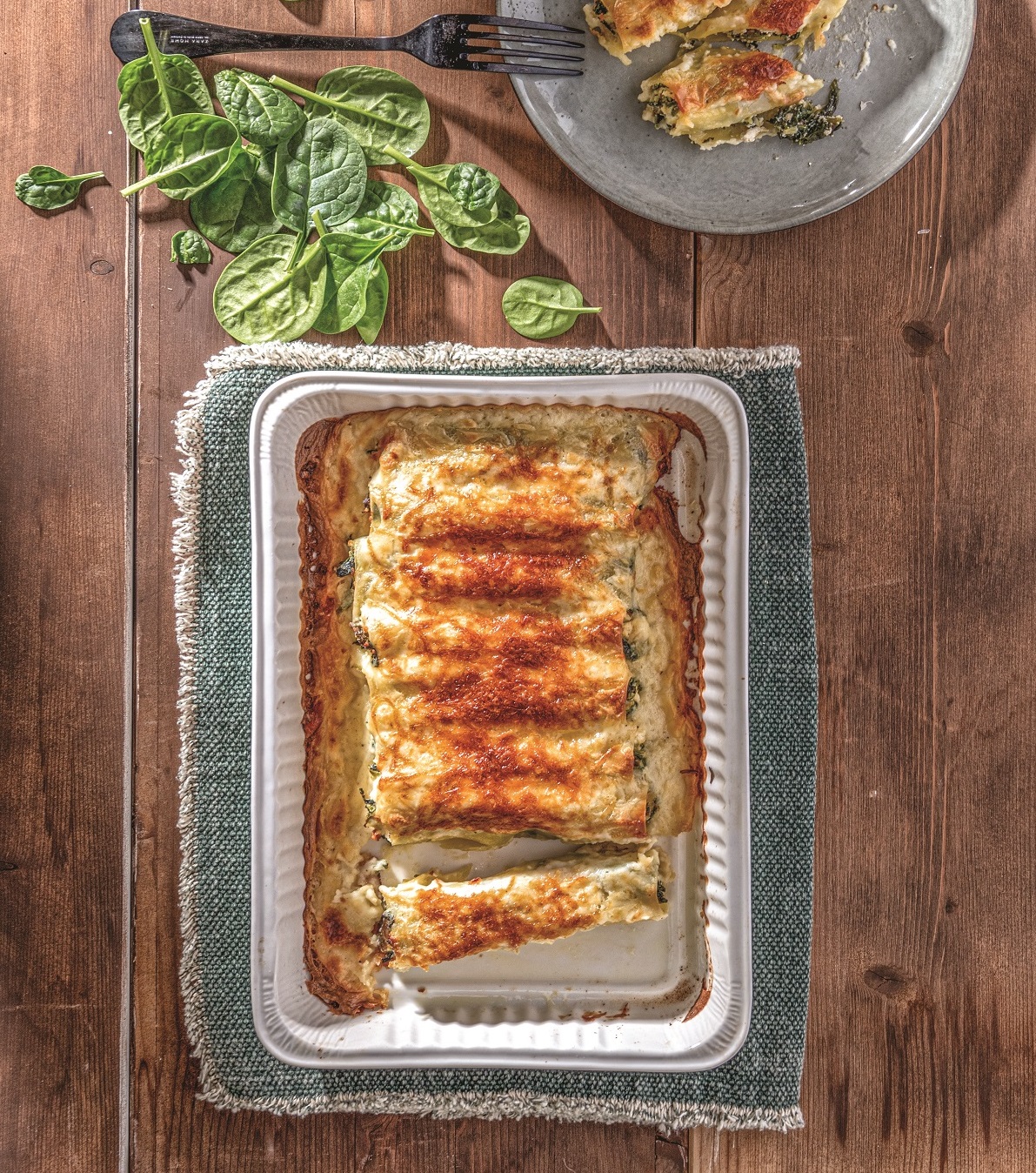 kanelonia spanaki anoigma